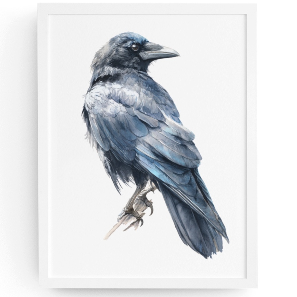 Watercolor Black Crow Wall Art Print Unframed - Black Bird Raven Illustration